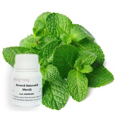 Mint Natural Flavor - 30g
